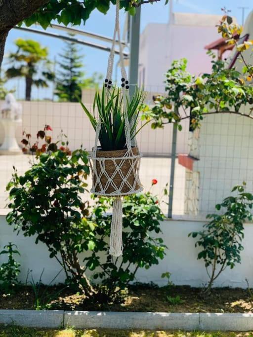 Mom'S Seaside Home Kariani Luaran gambar
